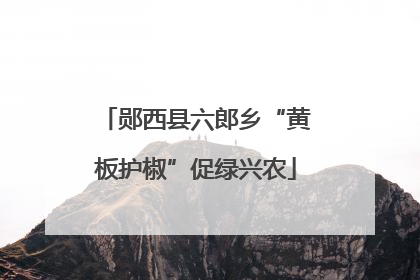 郧西县六郎乡“黄板护椒”促绿兴农